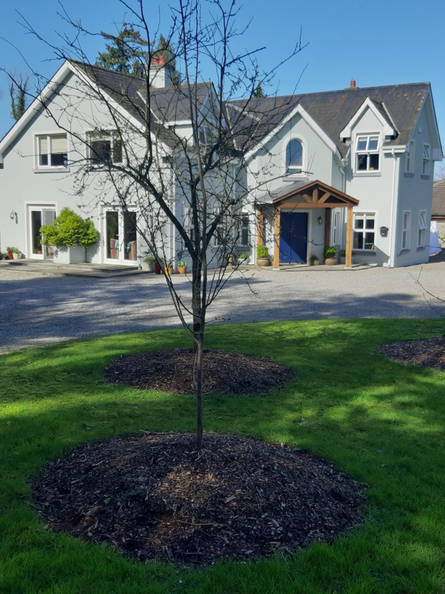 Kyleard Ryan Acomodação com café da manhã Monasterevin Exterior foto